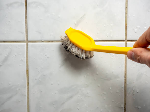Best Mold Removal and Inspection  in St Francisville, LA