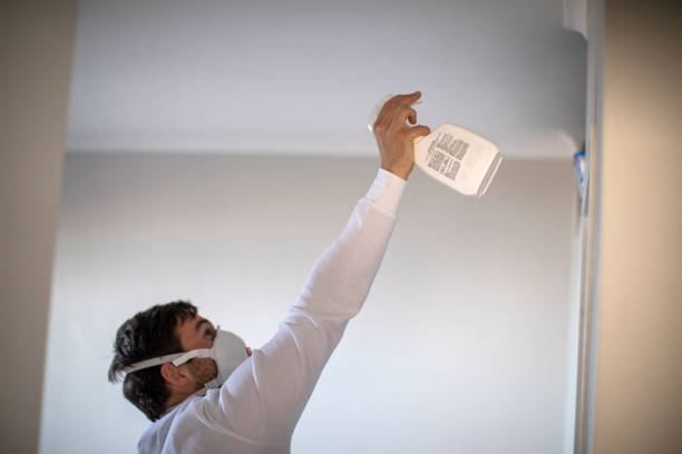 Best Water Damage Restoration  in St Francisville, LA