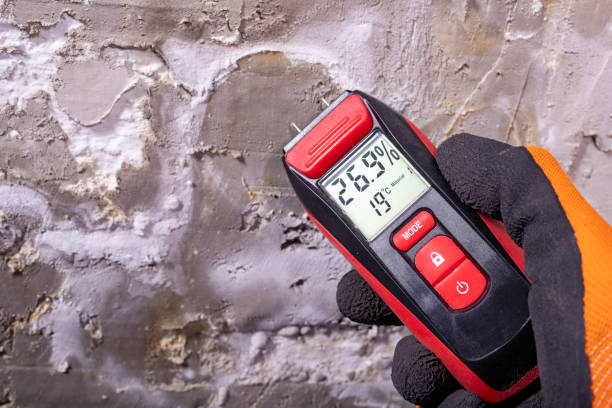 Attic Mold Removal in St Francisville, LA