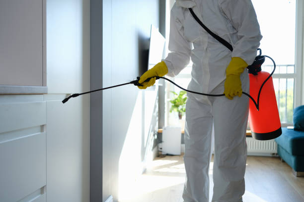 Reliable St Francisville, LA Mold Removal Solutions