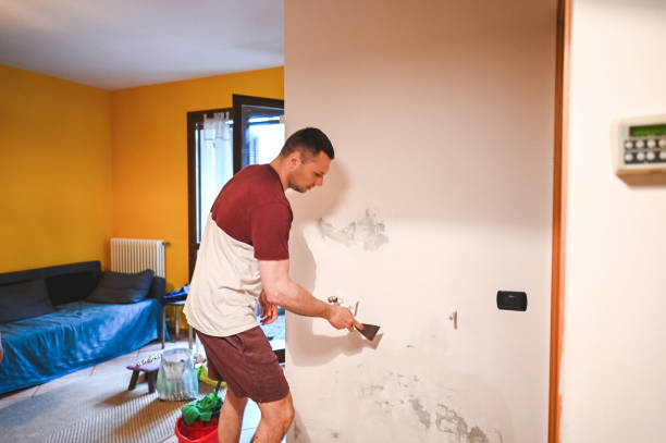 Best Best Mold Removal Companies  in St Francisville, LA
